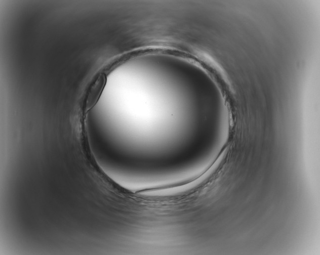 X0000089761360200706211536