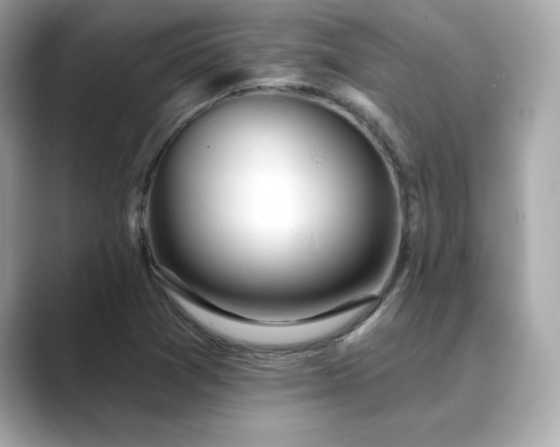 X0000089761361200706211536