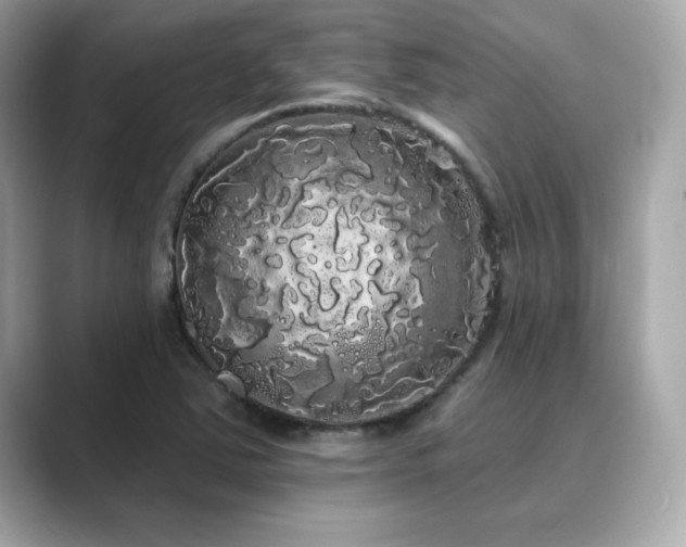 X0000089761363200706211536