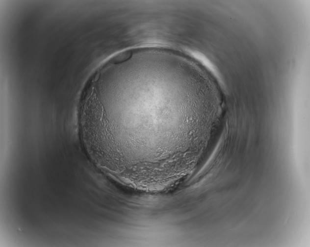 X0000089761364200706211536
