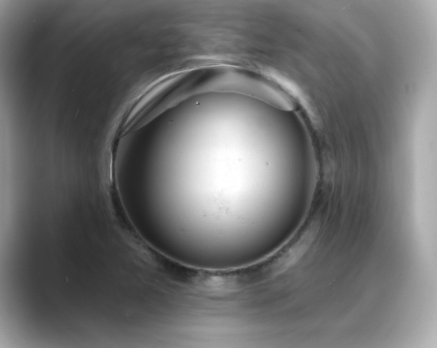 X0000089761365200706211536