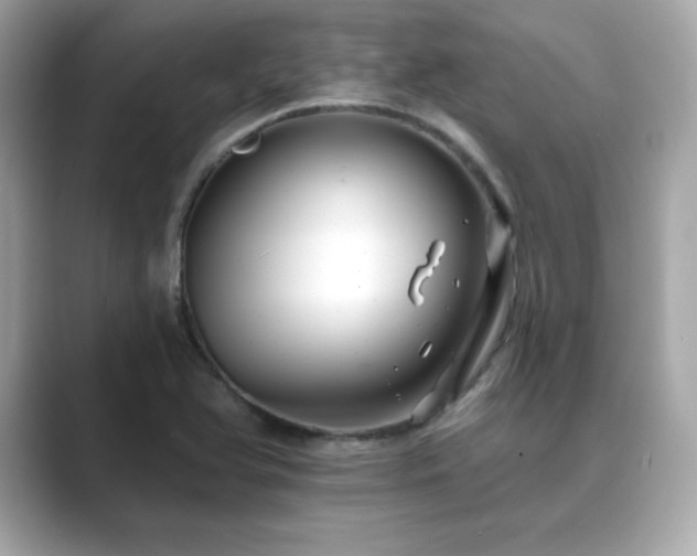 X0000089761366200706211536