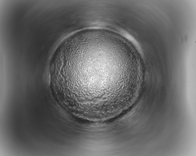 X0000089761368200706211536