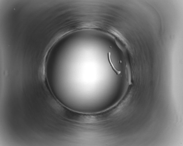 X0000089761370200706211536