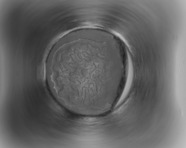 X0000089761371200706211536