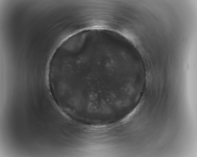 X0000089761374200706211536