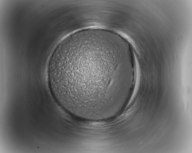 X0000089761375200706211536