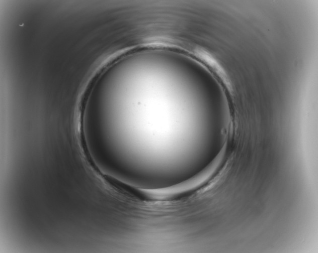 X0000089761376200706211536