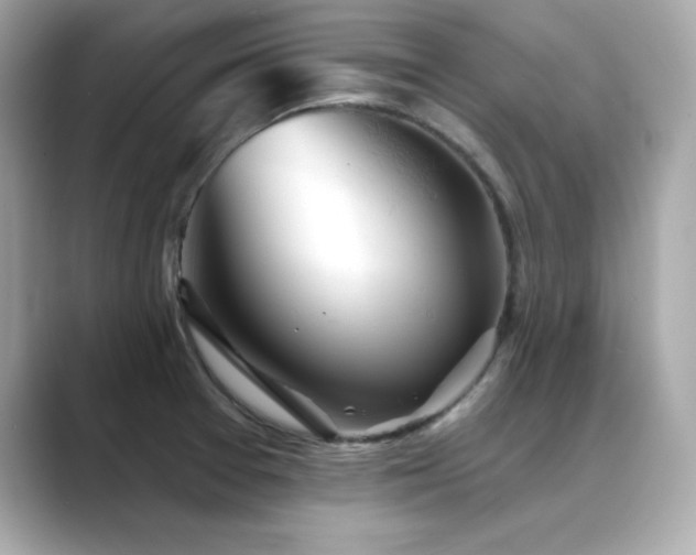 X0000089761377200706211536