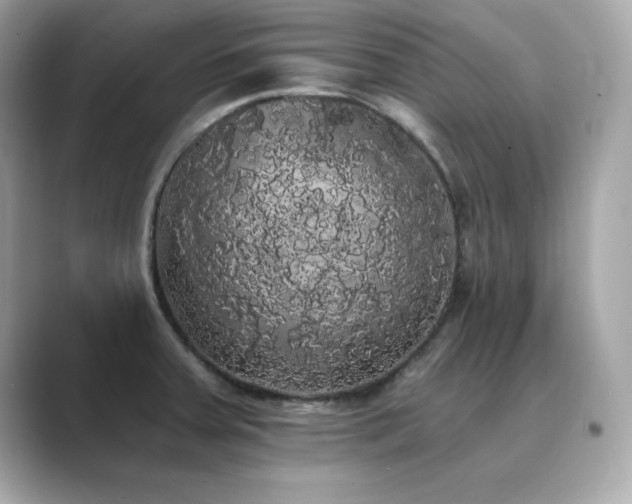 X0000089761379200706211536