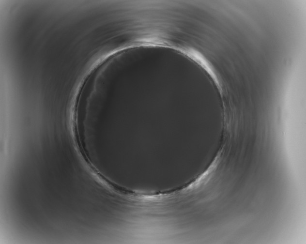 X0000089761381200706211536
