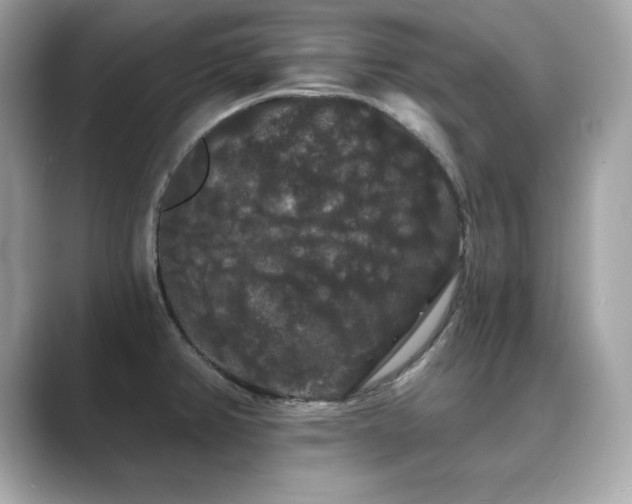 X0000089761382200706211536