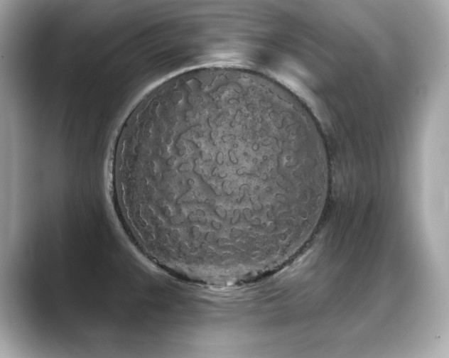 X0000089761383200706211536