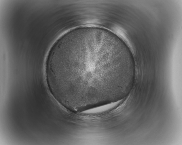 X0000089761384200706211536