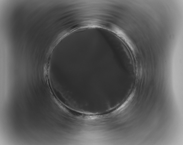 X0000089761385200706211536