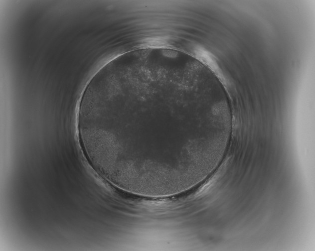 X0000089761386200706211536