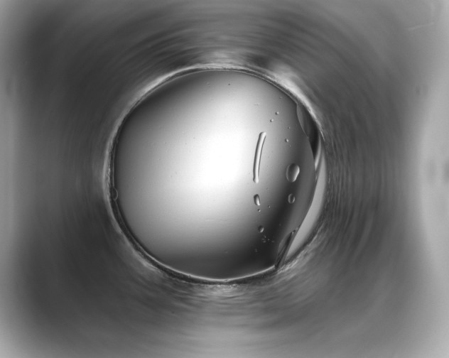 X0000089761387200706211536