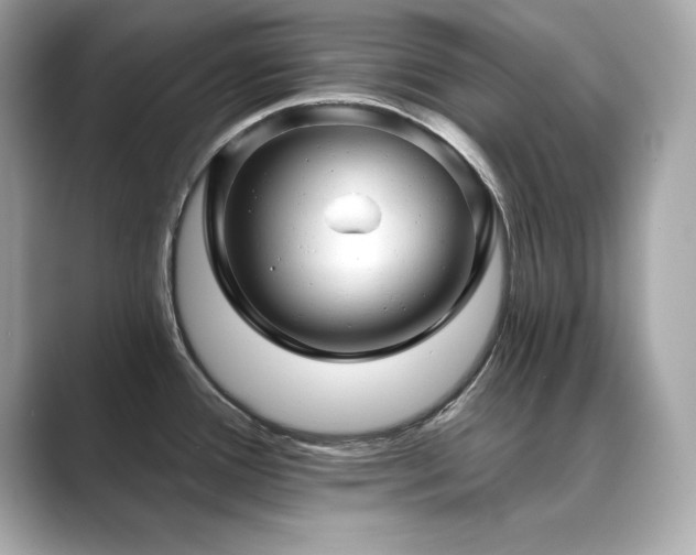 X0000089761388200706211536