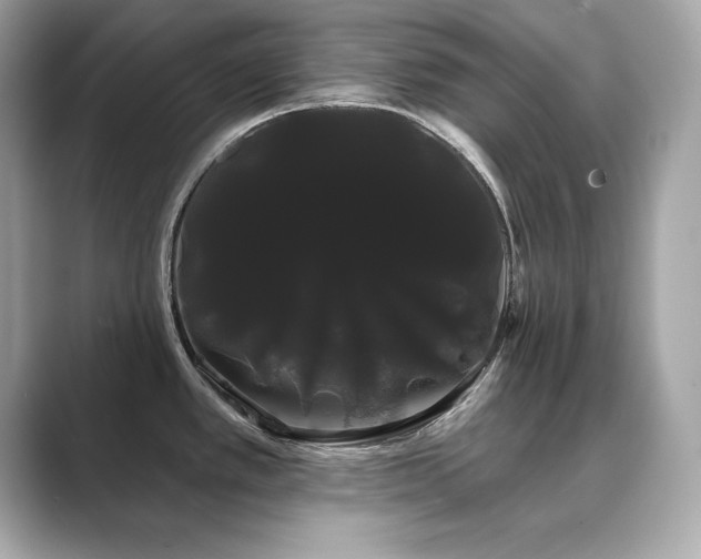X0000089761389200706211536