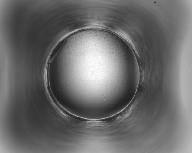 X0000089761391200706211535