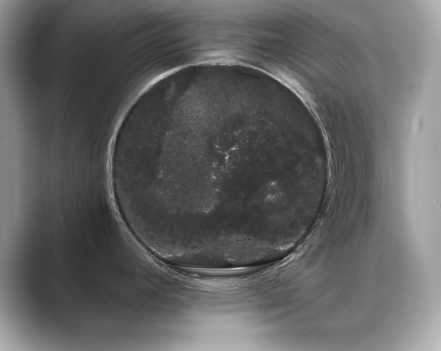 X0000089761392200706211535