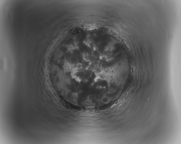 X0000089761393200706211535