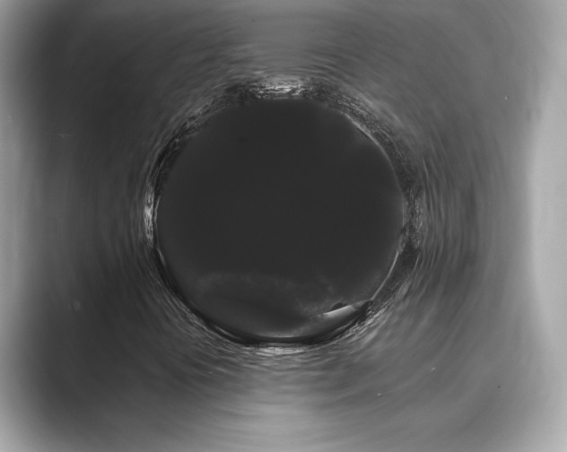 X0000089761394200706211535