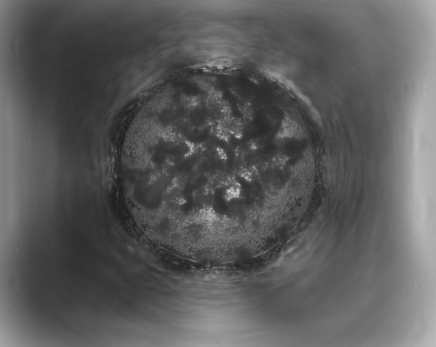 X0000089761399200706211535