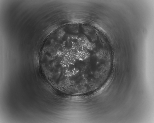X0000089761401200706211535