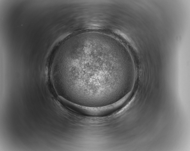 X0000089761402200706211535