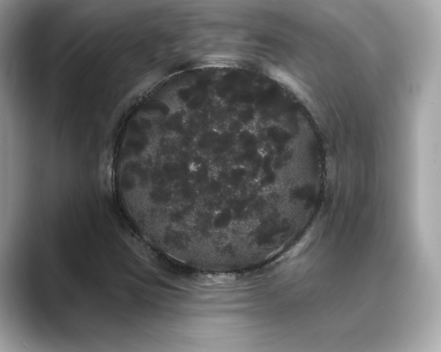 X0000089761403200706211535