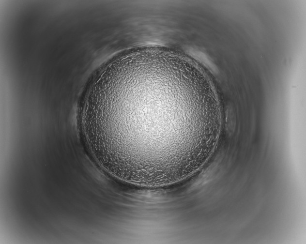 X0000089761404200706211535