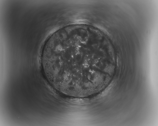 X0000089761405200706211535