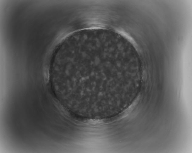 X0000089761407200706211535