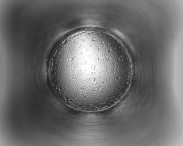 X0000089761408200706211535