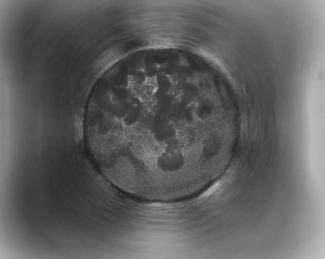 X0000089761409200706211535