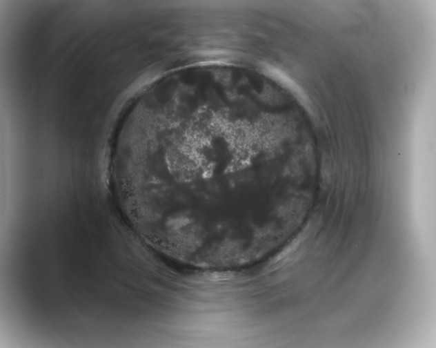X0000089761411200706211535