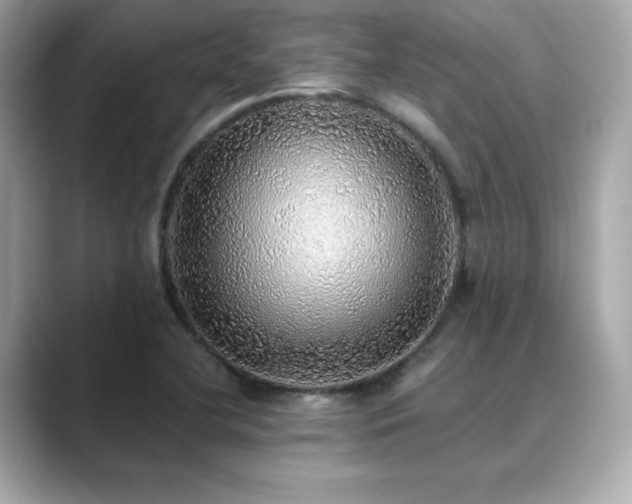 X0000089761412200706211535