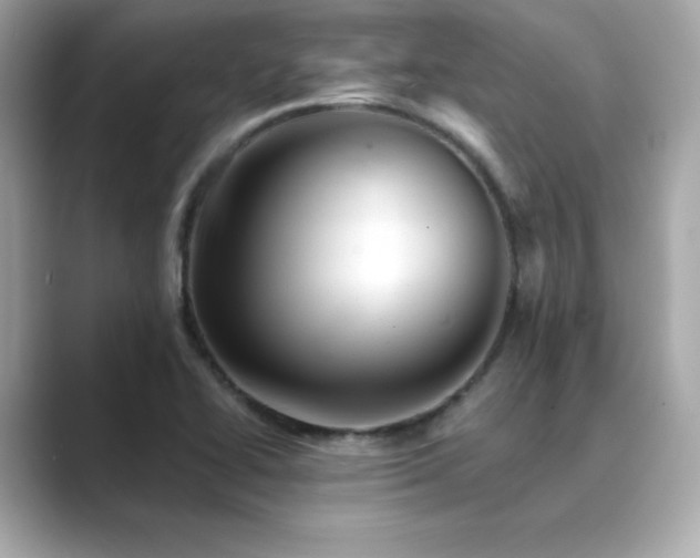 X0000089761414200706211535