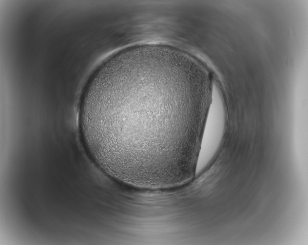 X0000089761416200706211535