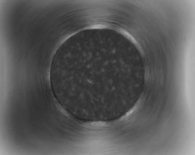 X0000089761417200706211535