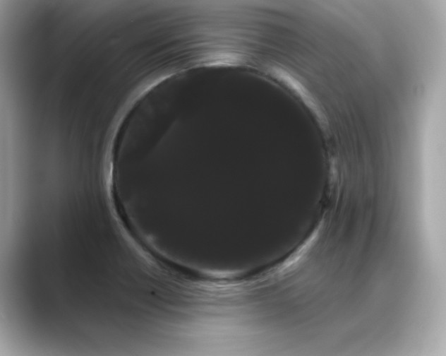 X0000089761418200706211535
