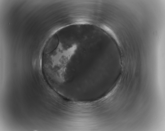 X0000089761419200706211535