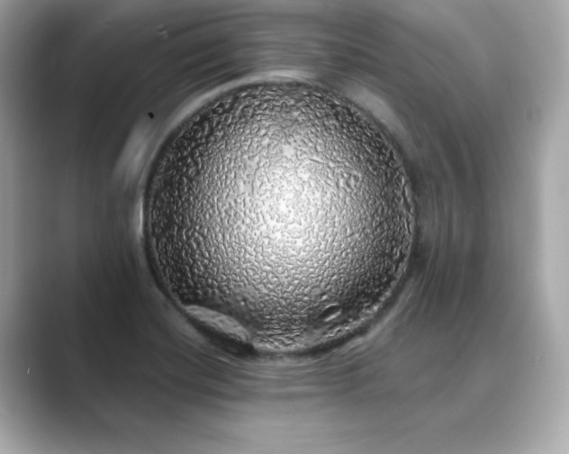 X0000089761420200706211535