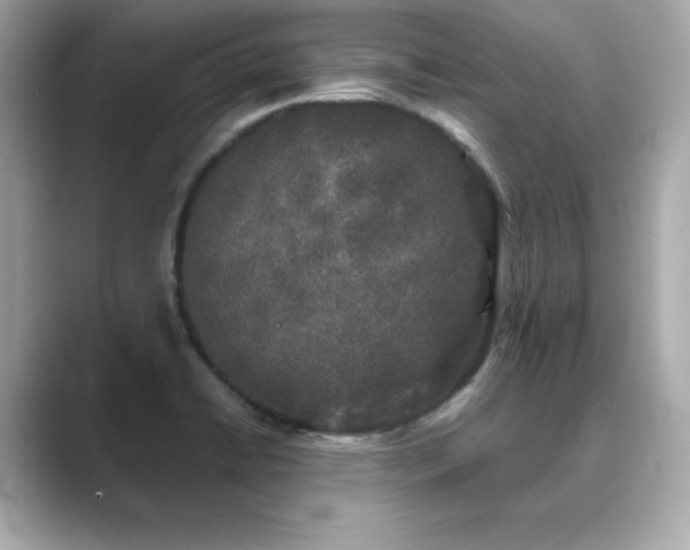 X0000089761422200706211535