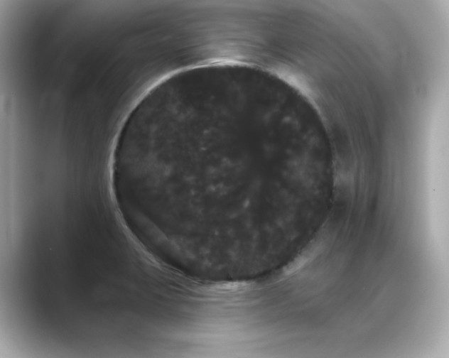 X0000089761423200706211535