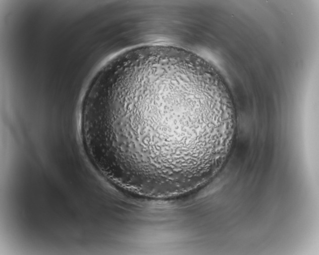 X0000089761424200706211535