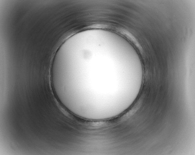 X0000089761425200706211535