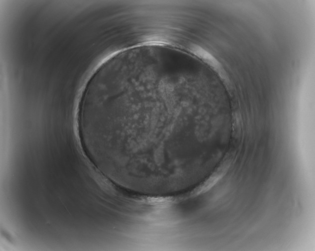 X0000089761427200706211535