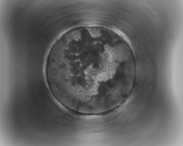 X0000089761429200706211535